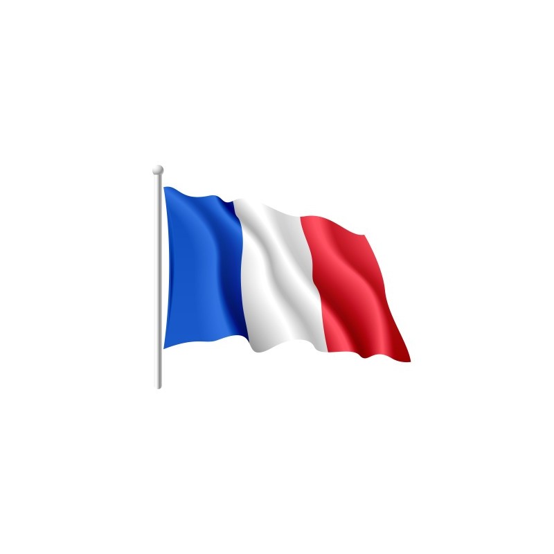 imprimer drapeau francais xx48