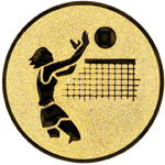 Volley féminin - Ref #20